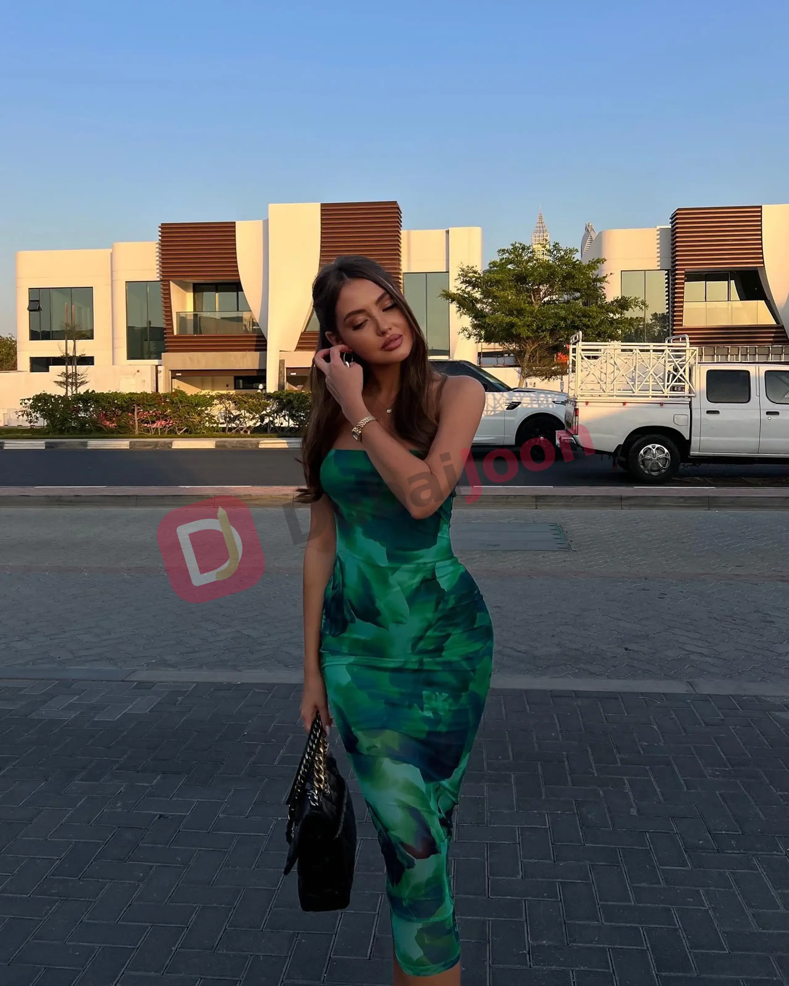 Profile of edih dounia in Dubai, photograph 1