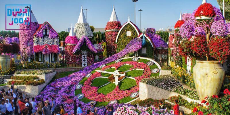 ساعت گلدار در میراکل گاردن