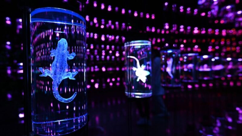 طبقه چهارم موزه آینده